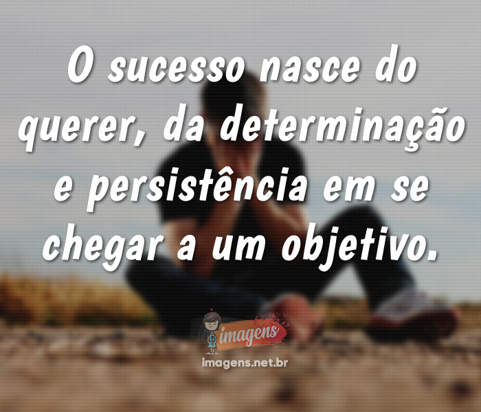 O sucesso nasce do querer da determinação e persistência