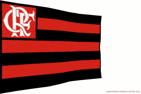 A História e Significado da Bandeira do Flamengo: Orgulho Rubro-Negro em Vermelho e Preto