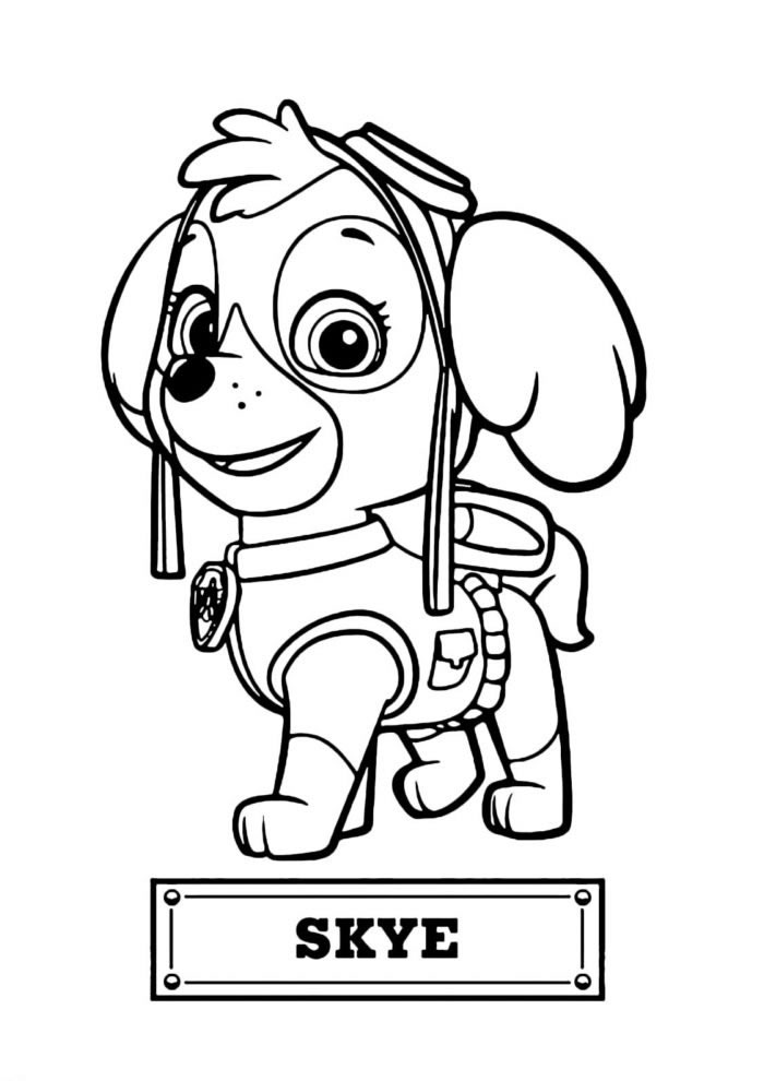 Personagens Patrulha Canina Desenho para Imprimir - Desenho para Colorir