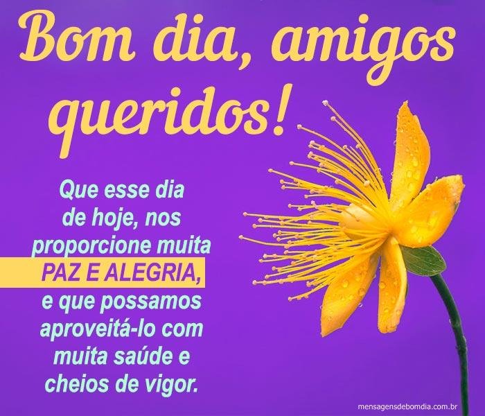 Amizade e Carinho para o Dia de Hoje Bom Dia, Amigas