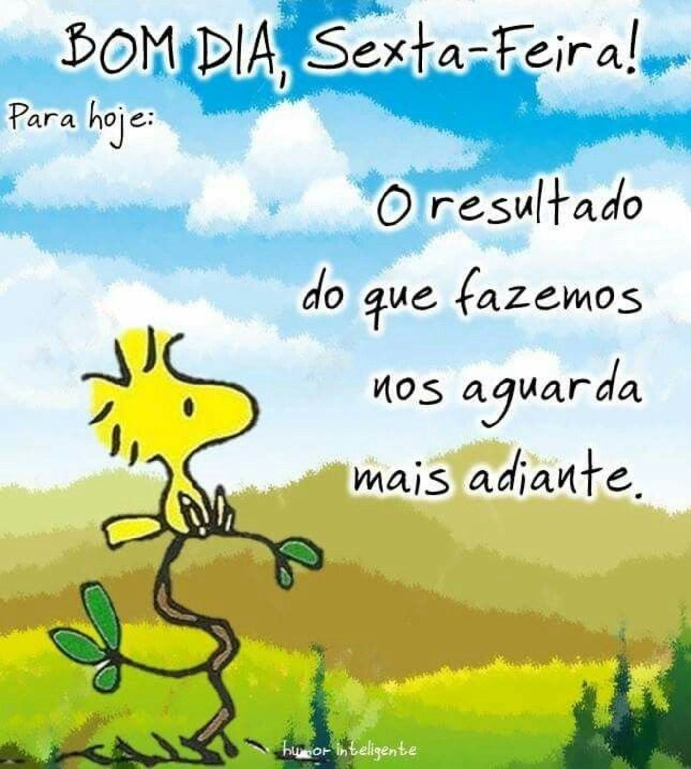 Bom Dia e Boa Sexta-feira!"