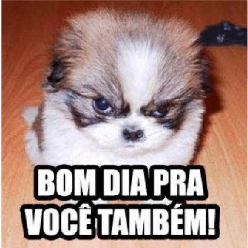 Humor Matinal: Imagem com Mensagem de Bom Dia Meme para Você