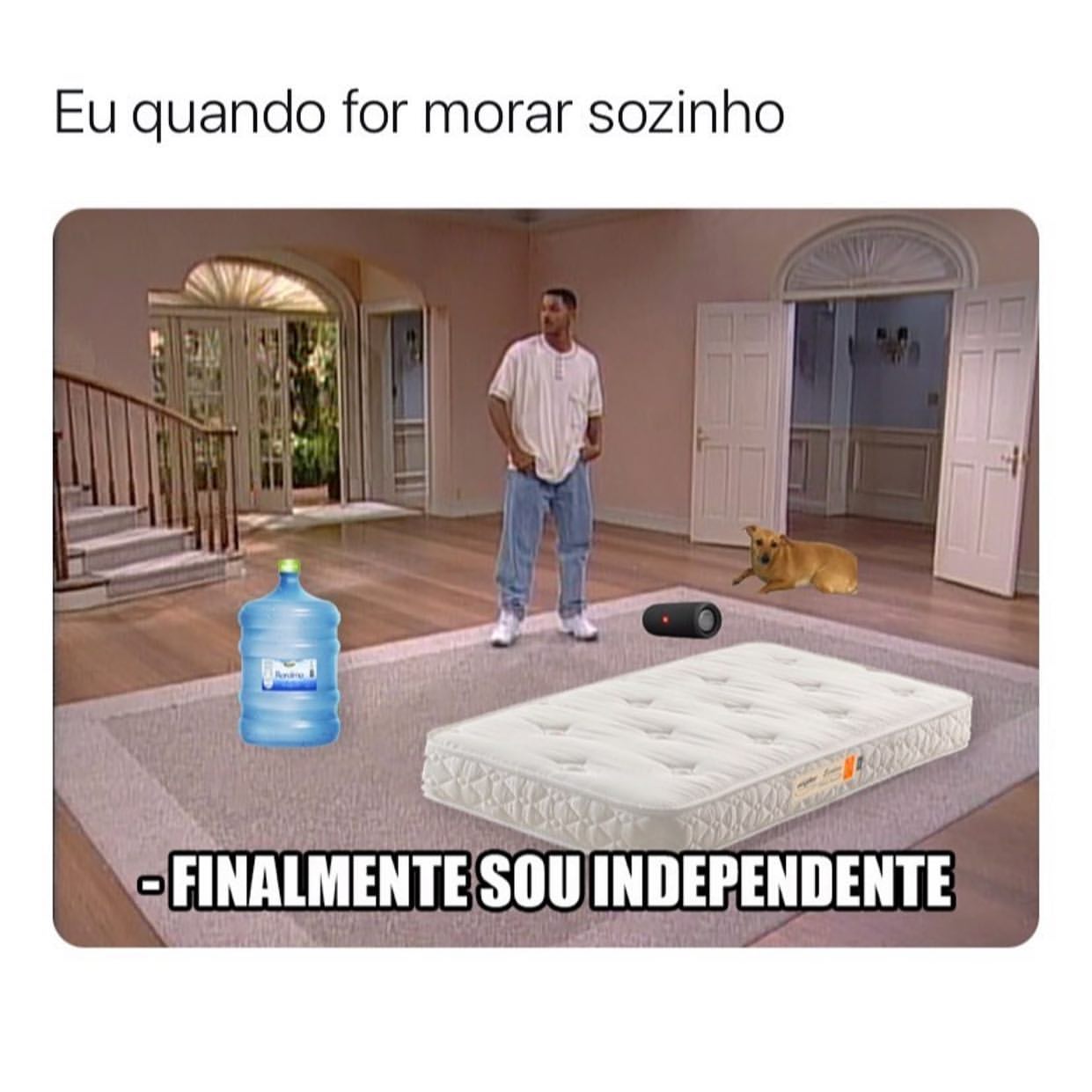 Rindo da Vida de Solteira: Memes Hilários Sobre Morar Sozinha