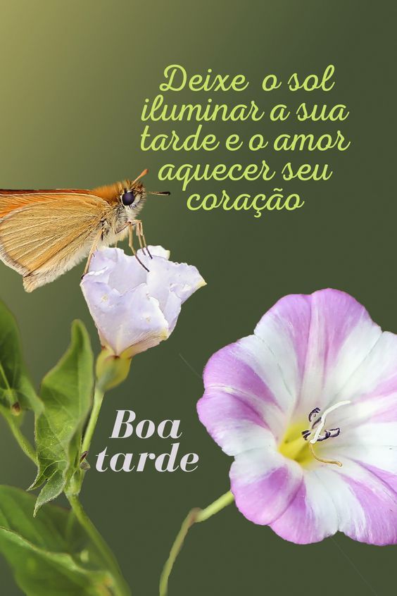 Boa Tarde Coração: Sorrisos e Felicidade Sempre