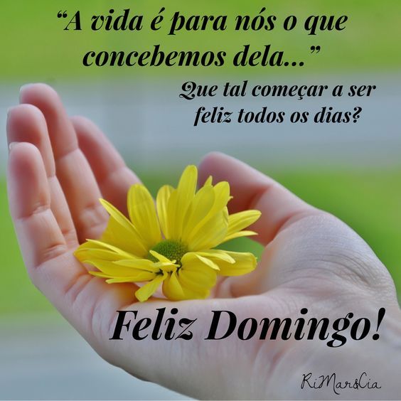 Bom dia e feliz domingo para todos!