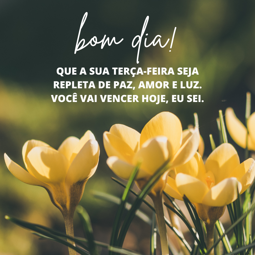 Bom Dia, Feliz Terça! Que a Alegria Esteja com Você