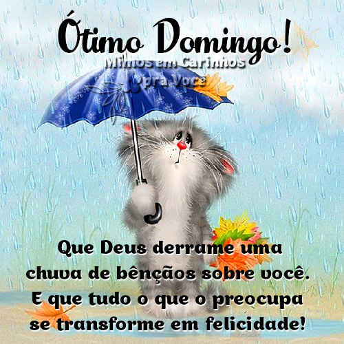 Domingo Chuvoso: A Magia da Chuva