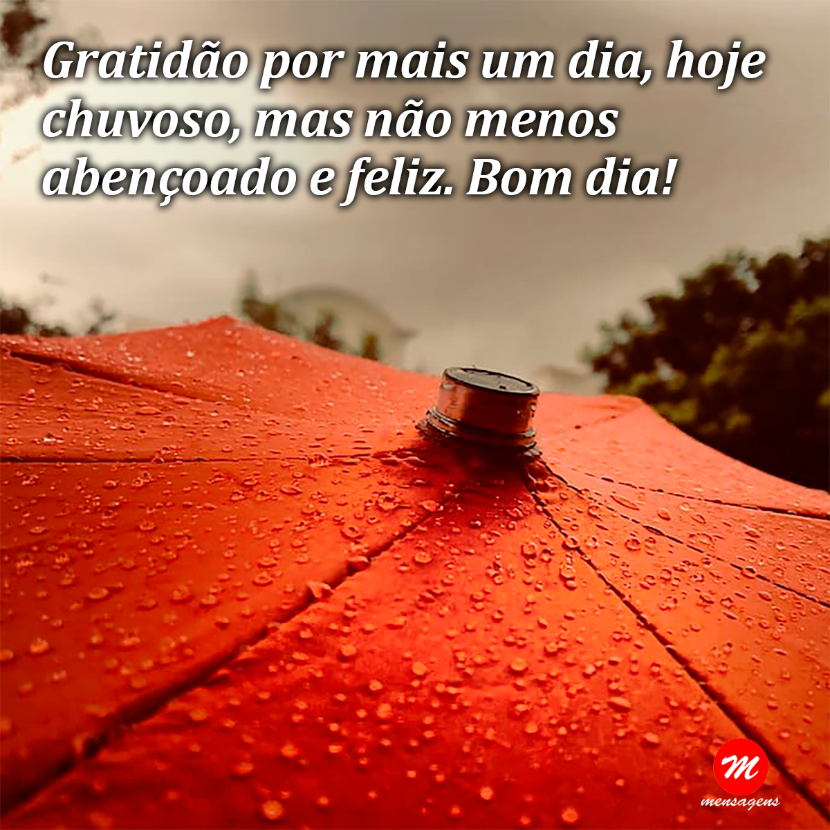 Tempo de Introspecção chuva