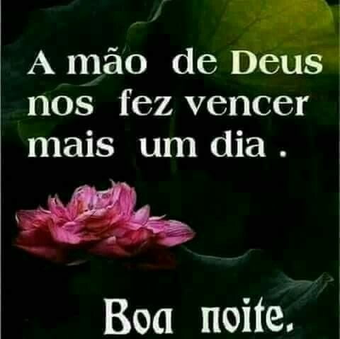 Boa Noite Zap – Imagens e Mensagens de Boa Noite para WhatsApp