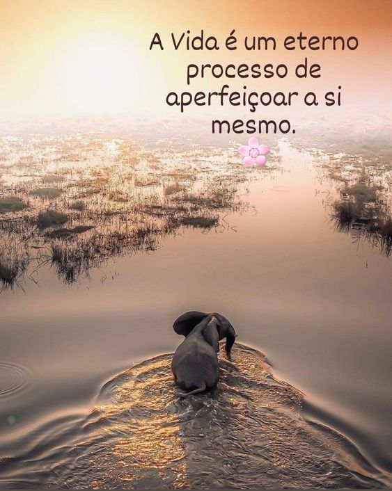 Imagens para Refletir — Mensagens que Tocam o Coração