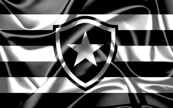 Imagens impressionantes da bandeira do Botafogo Futebol