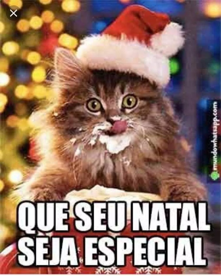 Natal Divertido: Memes Para Espalhar o Espírito Natalino com Bom Humor!